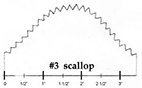 #3 scallop size